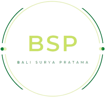 Logo BSP